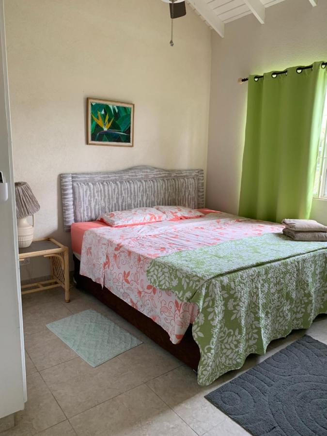 Raivens Nest Bed And Breakfast Christ Church Exteriör bild